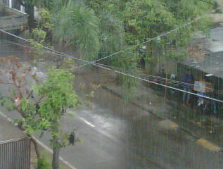 /home/wpcom/public_html/wp-content/blogs.dir/36d/2017162/files/2012/06/img00515-20120606-1538.jpg raining